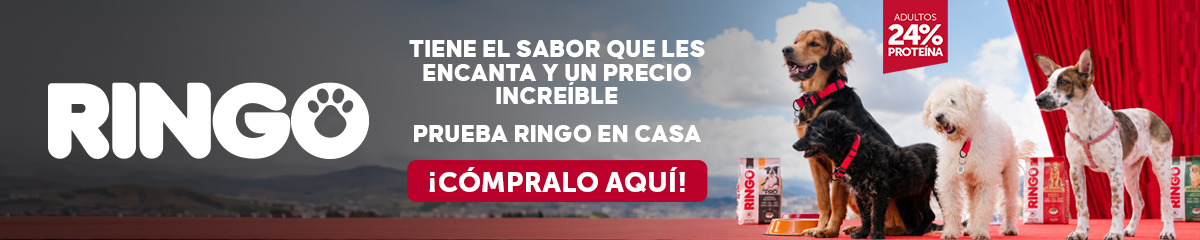 Compralo aqui