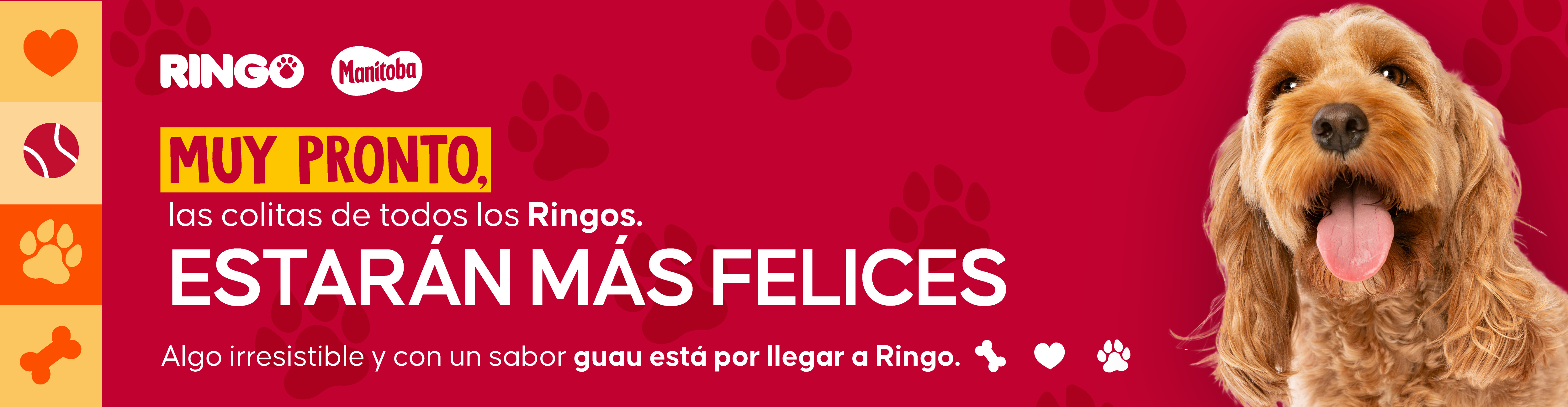 Compra Ringo en mizooco