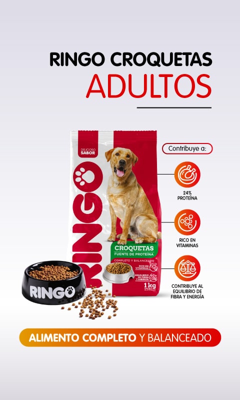 Ringo croquetas adultos