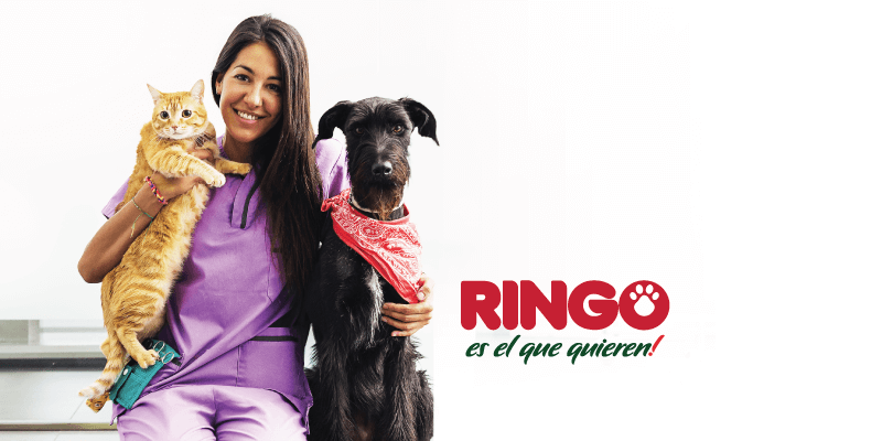 Escoger un veterinario