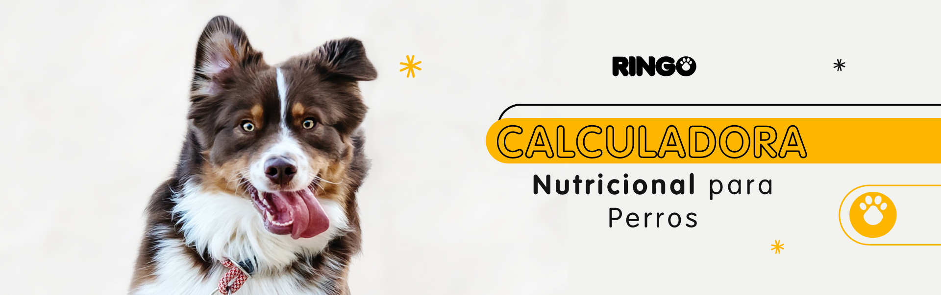 Ringo calculadora de alimento para perros