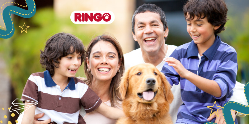 perros y niños