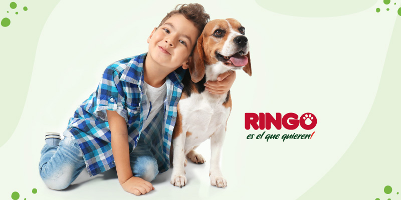 ¿Cómo enseñar a los niños pequeños a cuidar sus mascotas? Te ayudamos con consejos para que tus hijos sean cuidadosos.