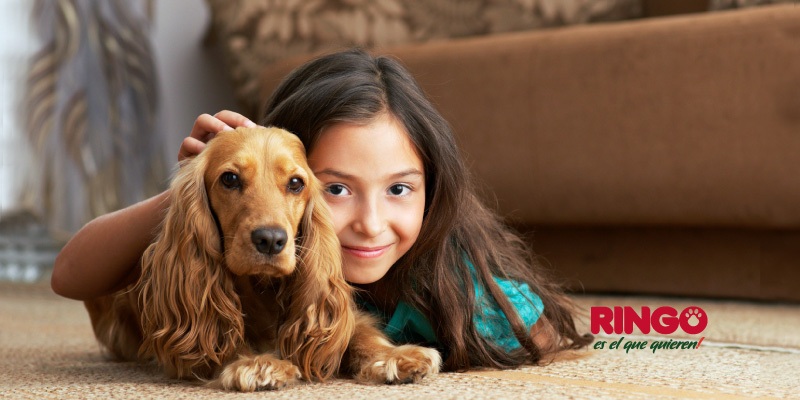 Elegir perro para niños
