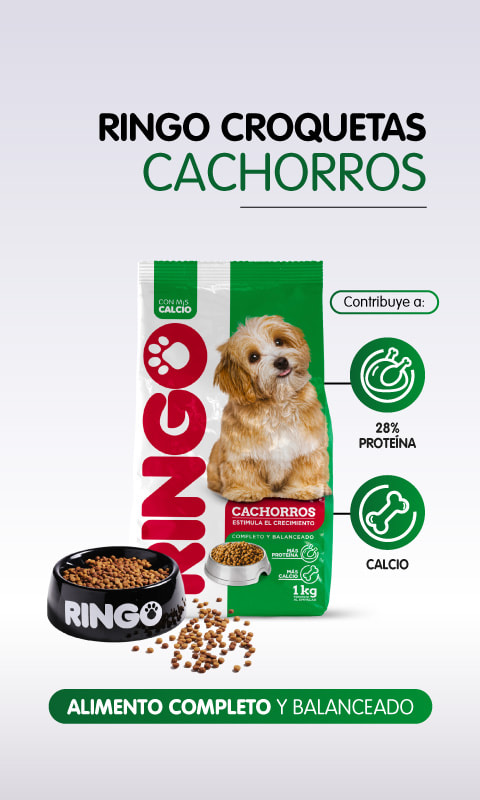 Ringo croquetas cachorros