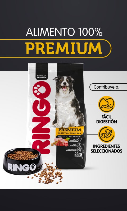 Ringo premium adultos