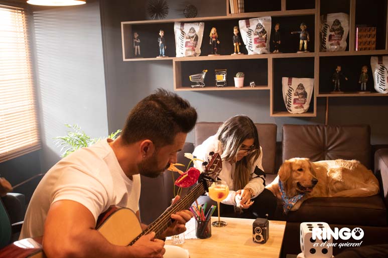 La respuesta de los humanos al homenaje de sus perros