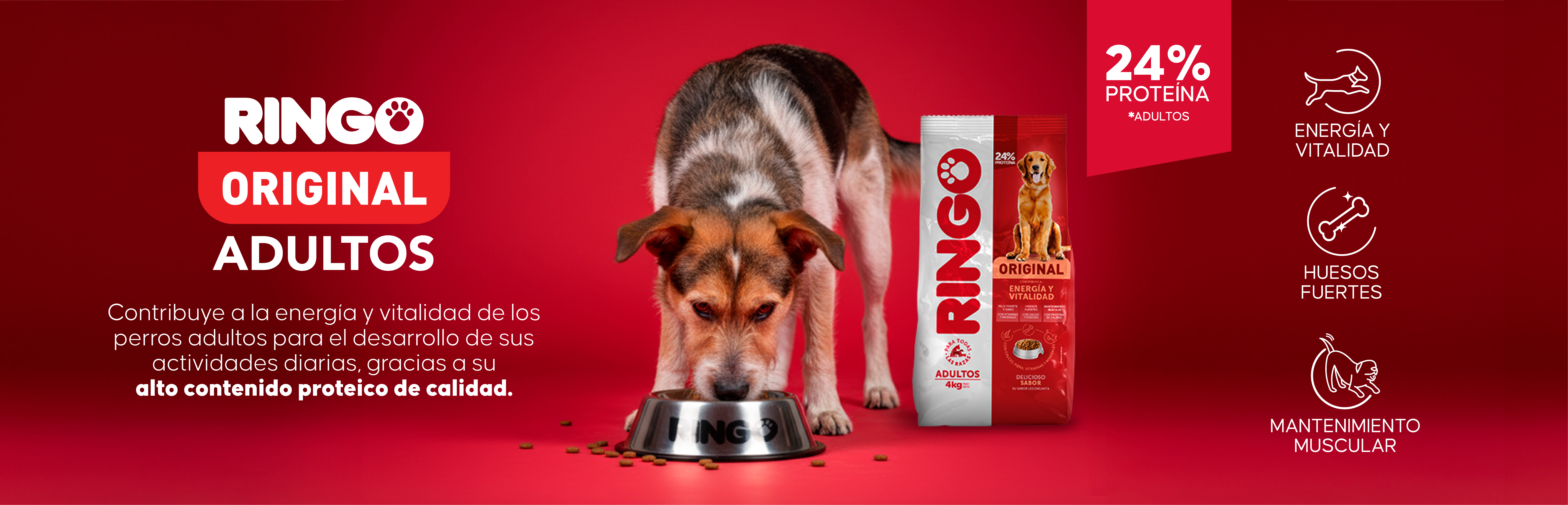 Banner Interna original adulto - producto