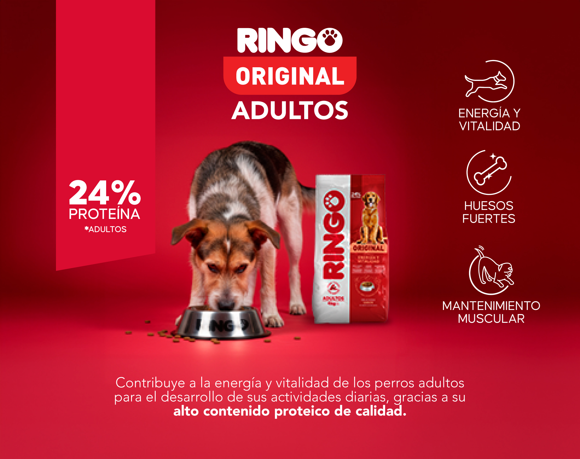 Banner Interna original adulto - producto