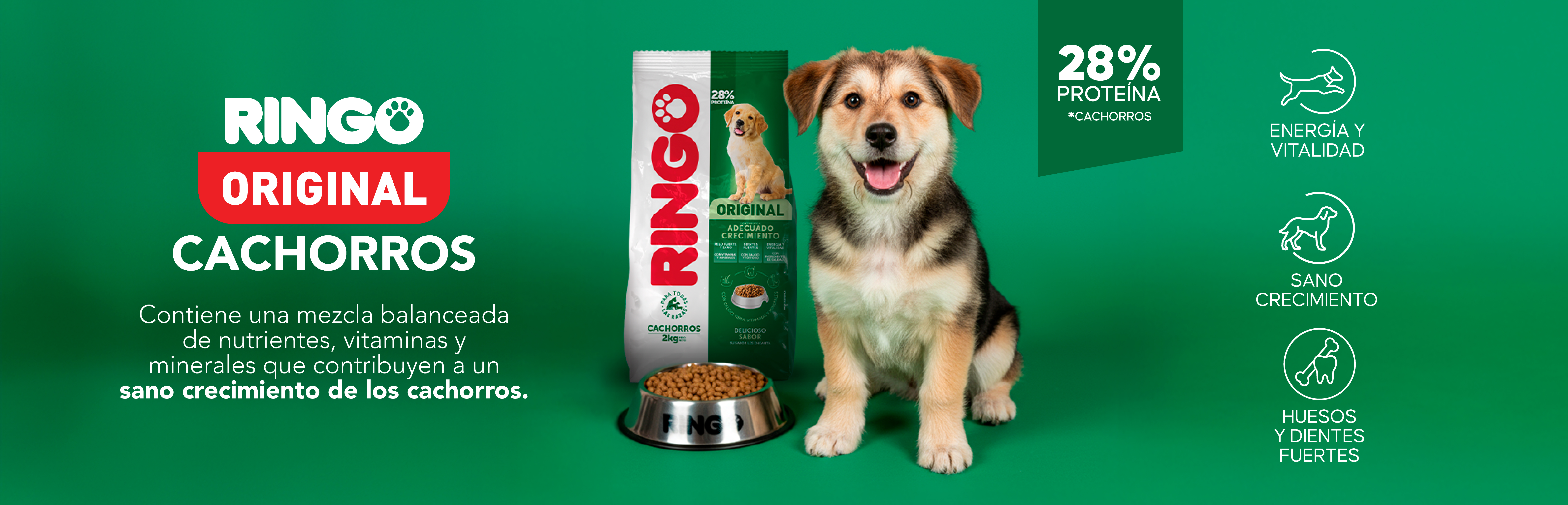 Banner Interna original cachorro - producto