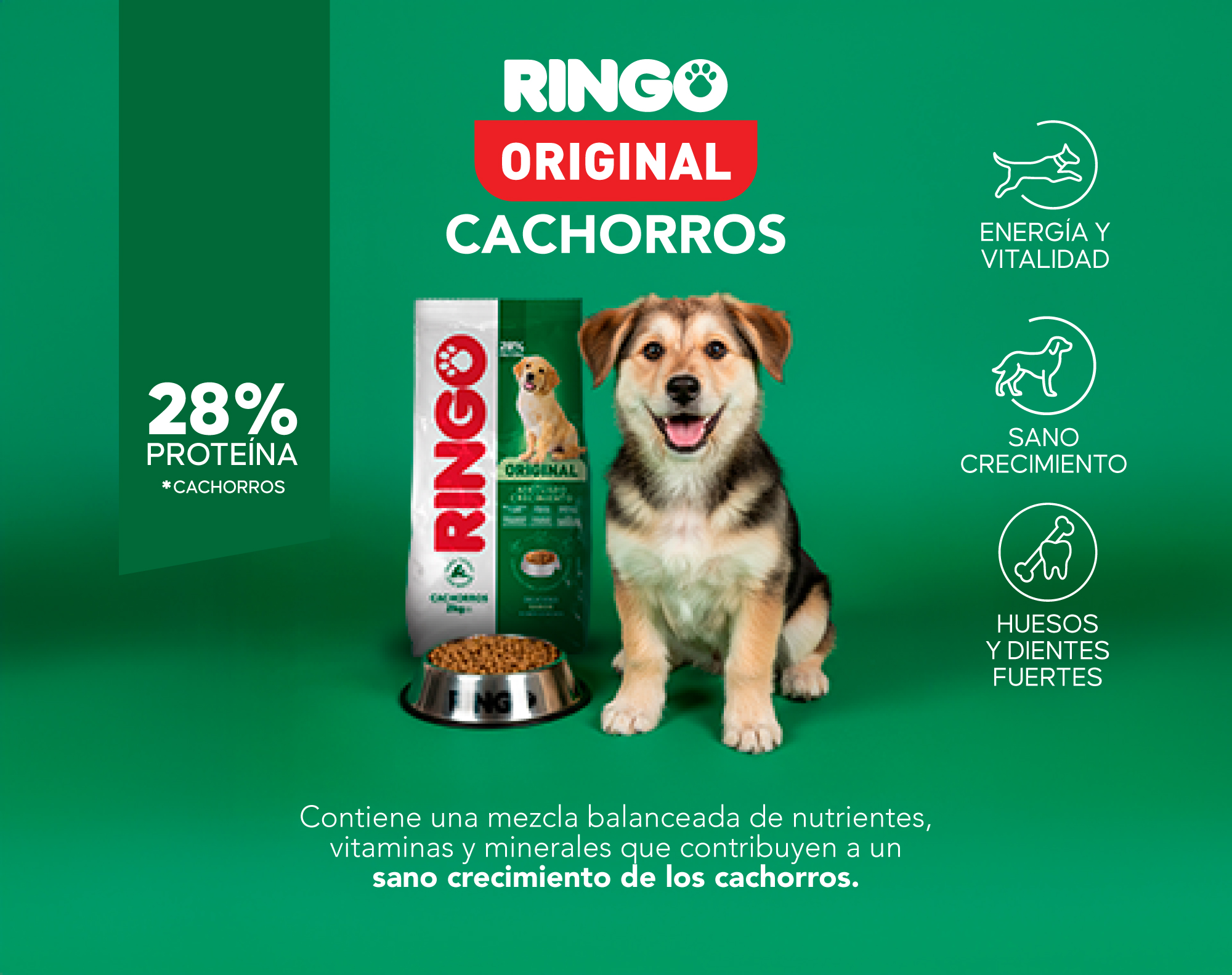Banner Interna original cachorro - producto