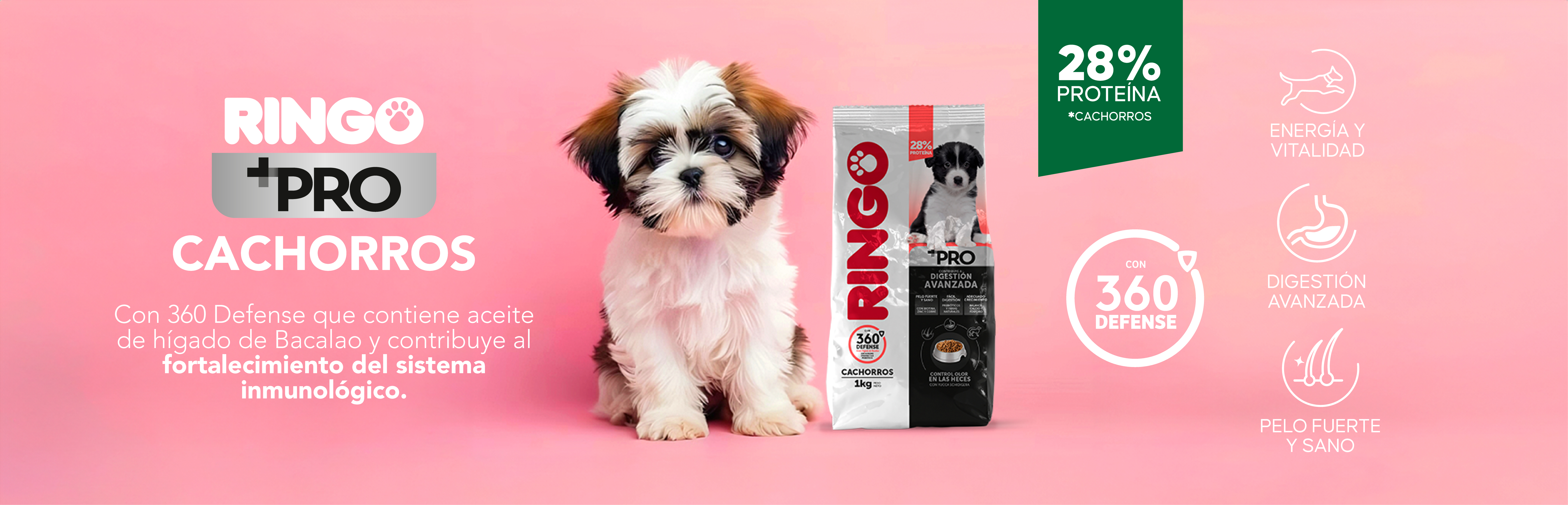 Ringo + Pro cachorros