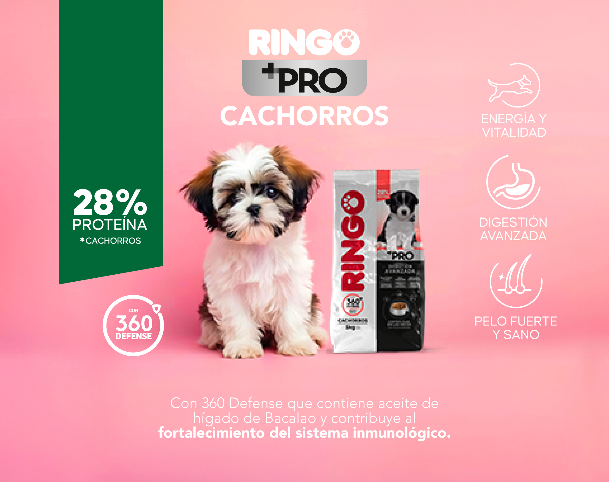 Ringo + Pro cachorros