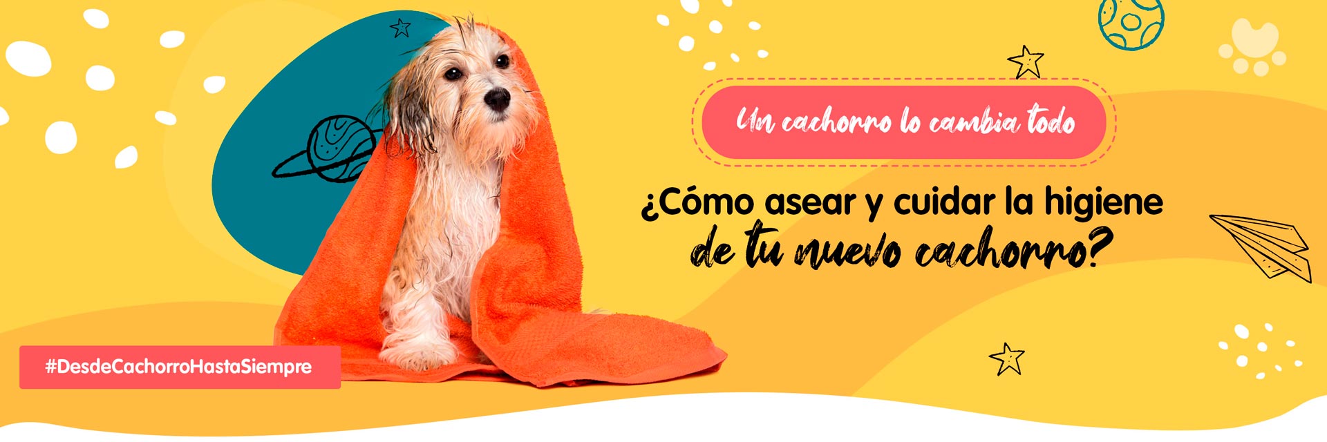 Banner contenido cuidar la higiene cachorro
