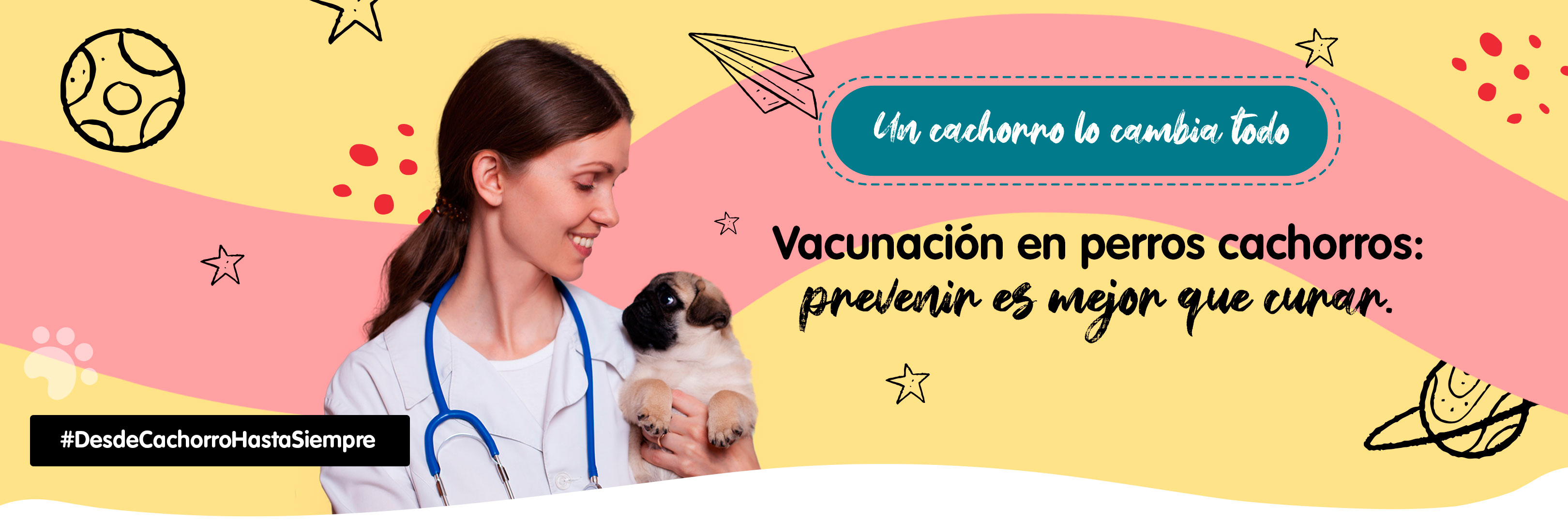 Banner vacunación cachorros
