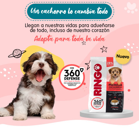 Banner cachorros