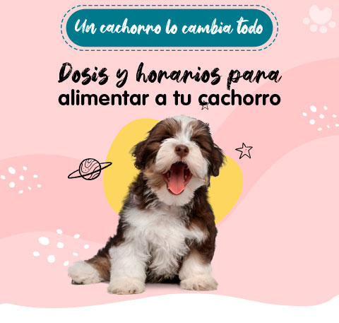 Banner contenido cachorros