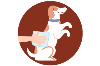 Despues de pasear a tu perro lavate las manos 
