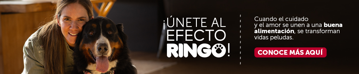 Unete al Efecto Ringo