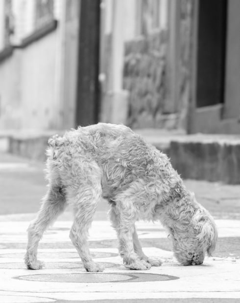 Luismi foto 2