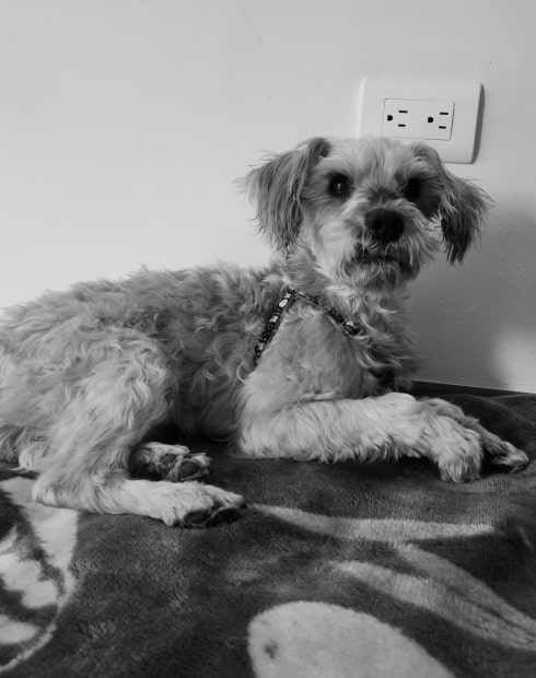Luismi foto 4
