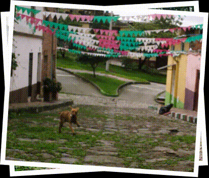 PELUCHITA