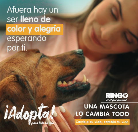 Adoptar una mascota cambia tu vida I Efecto Ringo