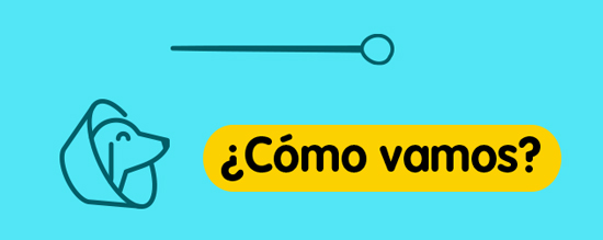 Conoce los benficios de esterilizar a tu perro