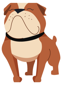 Perro una mascota lo cambia todo