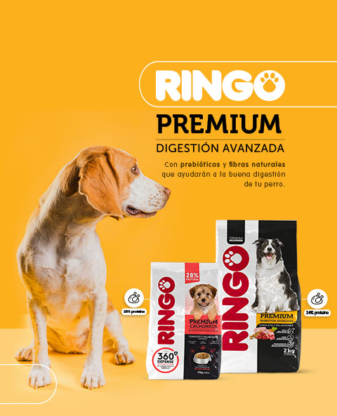 Ringo Premium