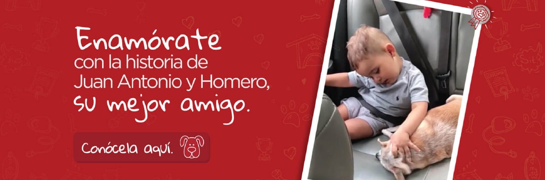 historia de amistad