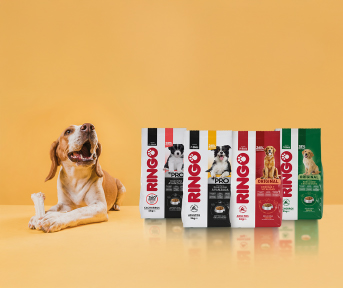 ¿Por qué elegir Ringo para alimentar a tu perro?