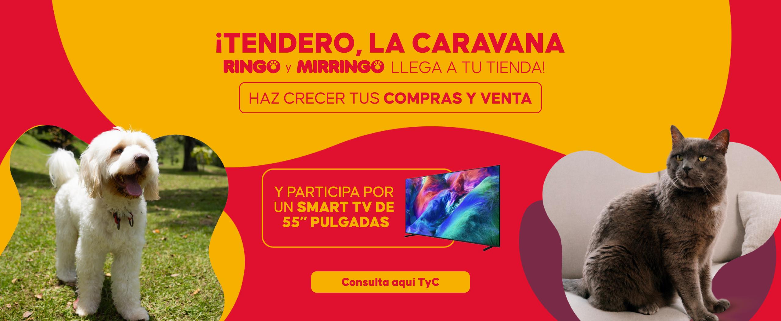 Banner caravanas ringo / mirringo