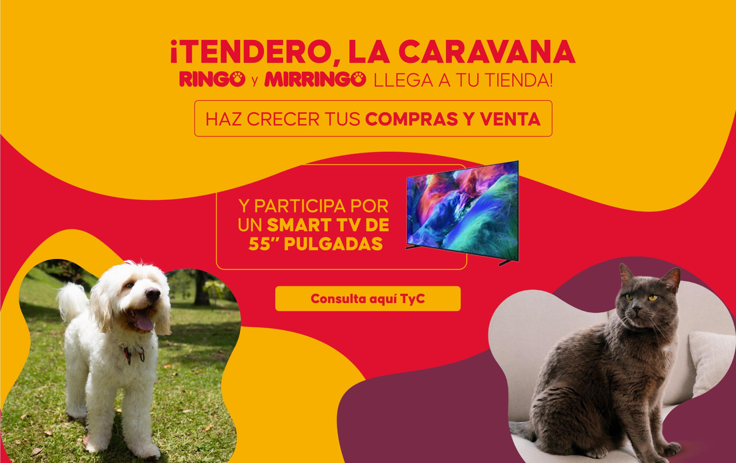 Banner caravanas ringo / mirringo