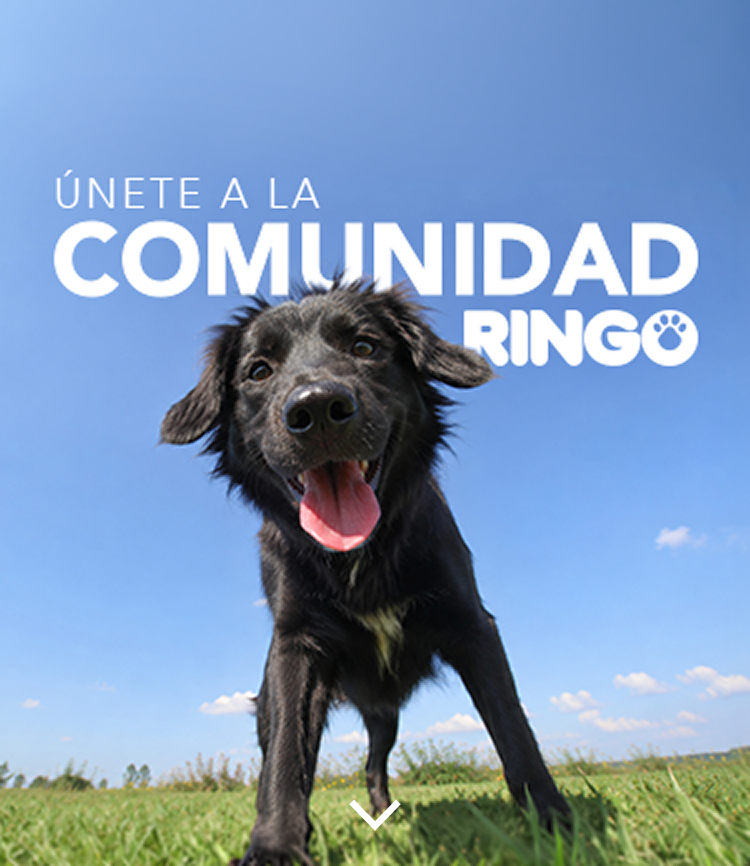 banner registro comunidad