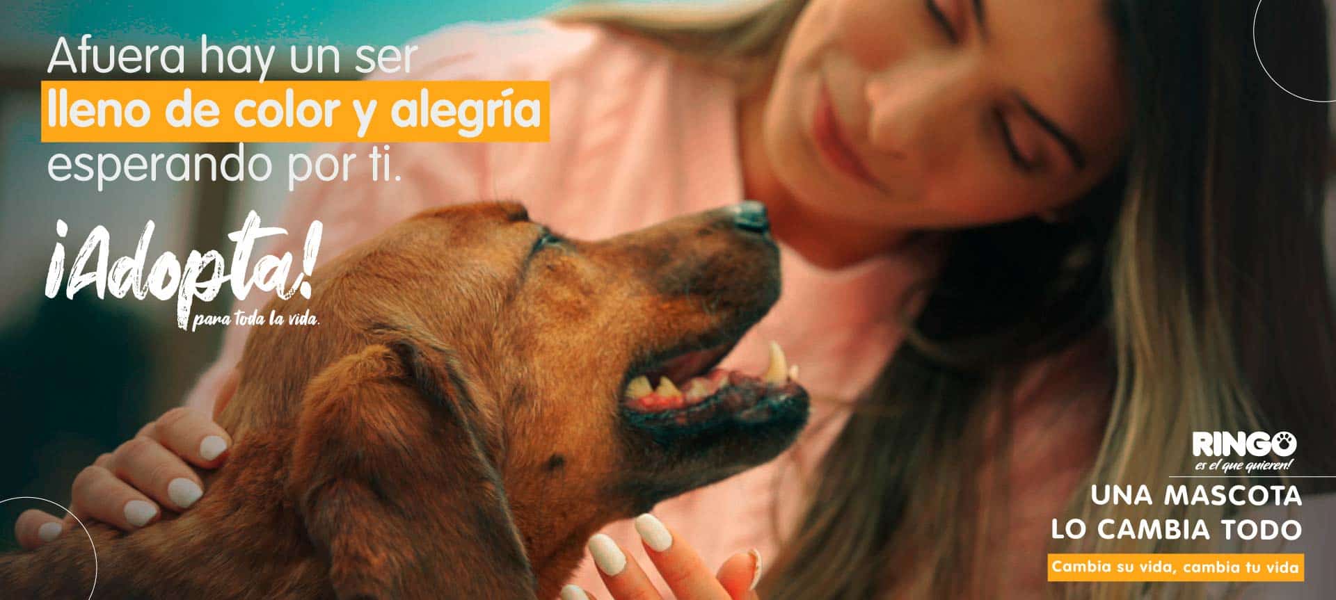 Banner interna adopción