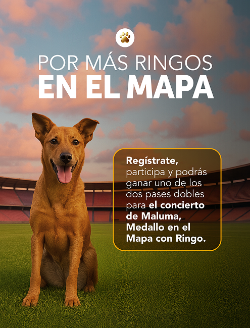 Ringo en el mapa
