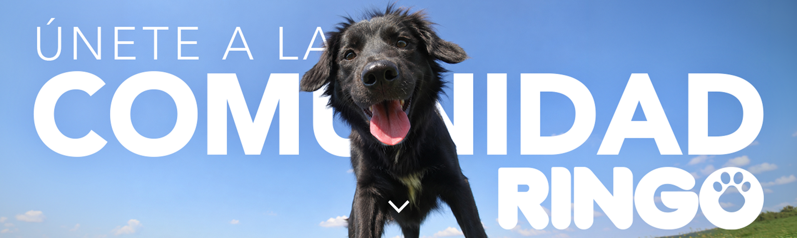 banner registro comunidad