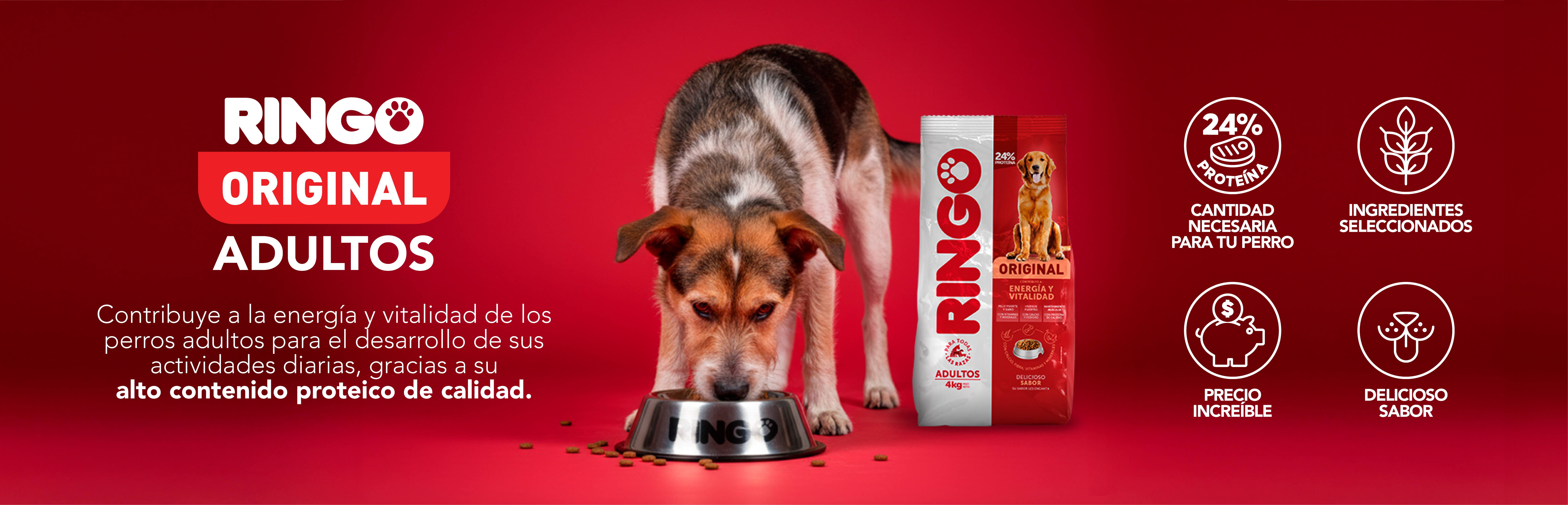 Ringo original adultos