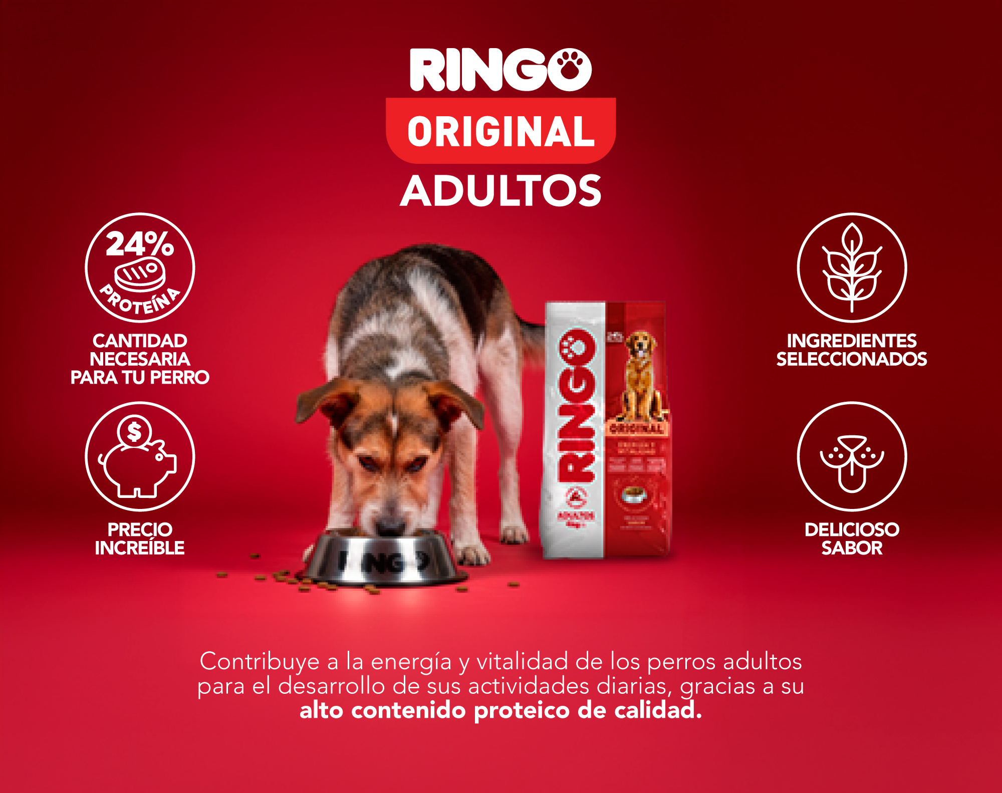 Ringo original adultos