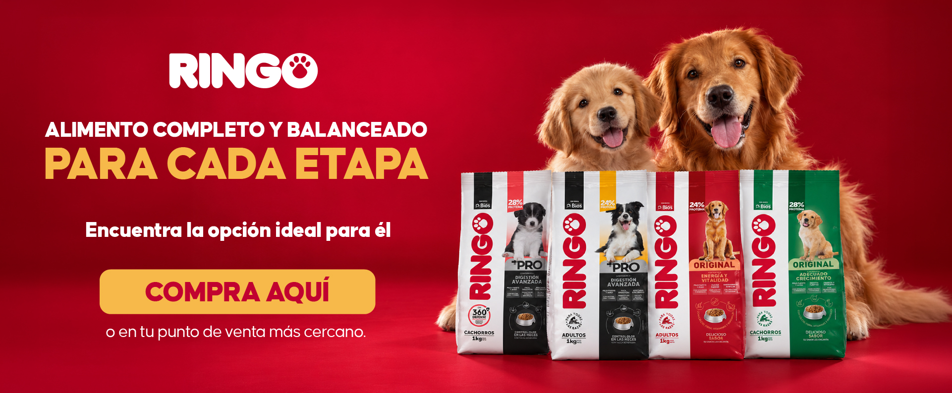 Banner bogegón