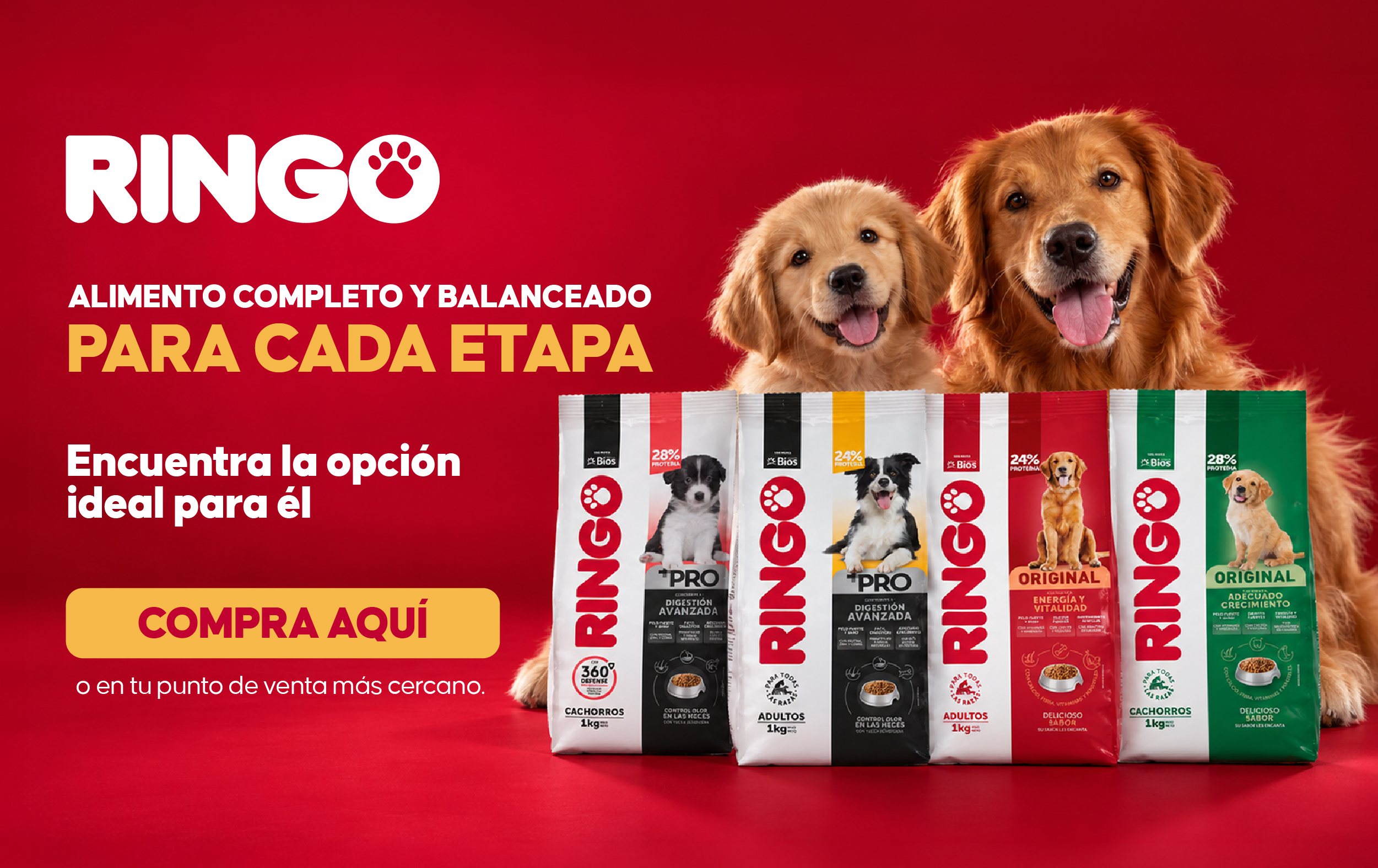 Banner bogegón