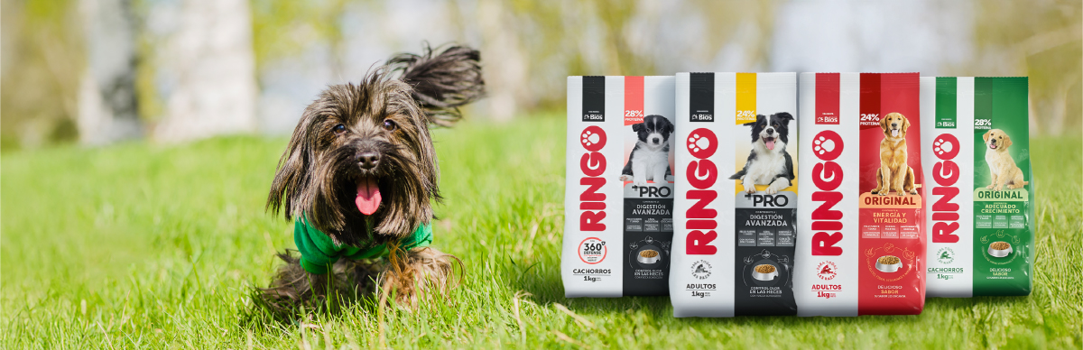 importancia de la proteína en perros