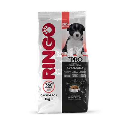 Ringo + Pro Cachorros con 360 Defense