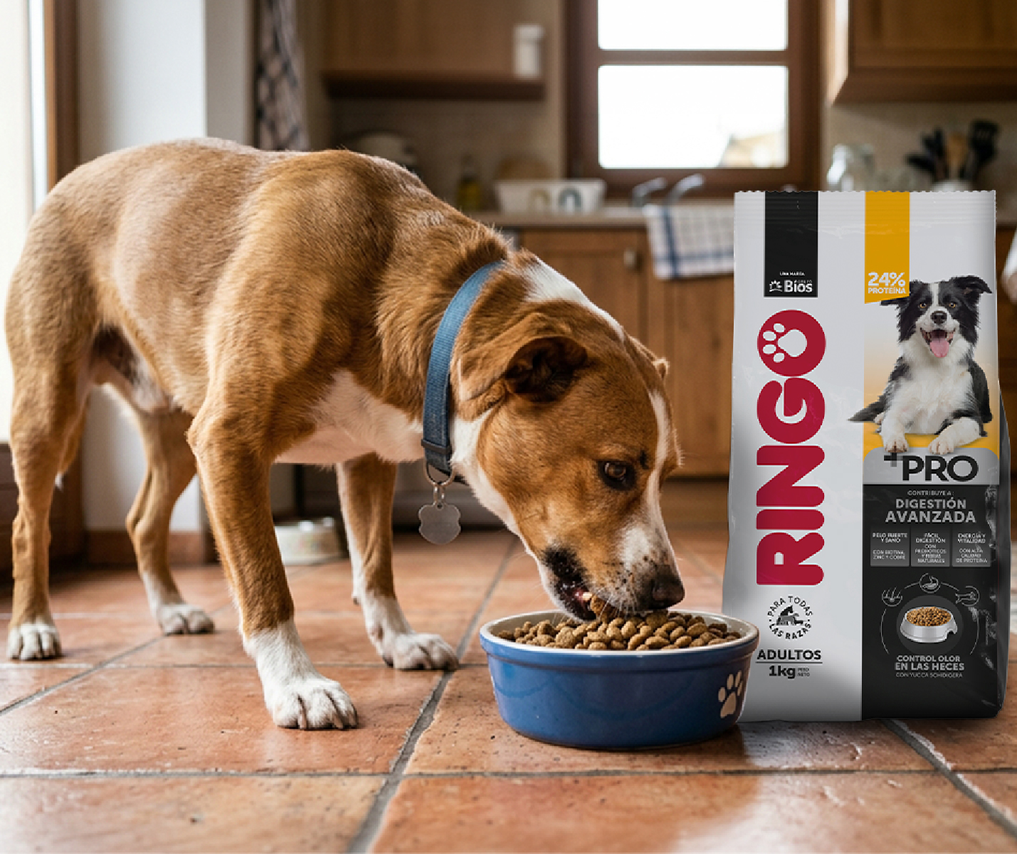 Ringo +PRO: qué es la digestión avanzada