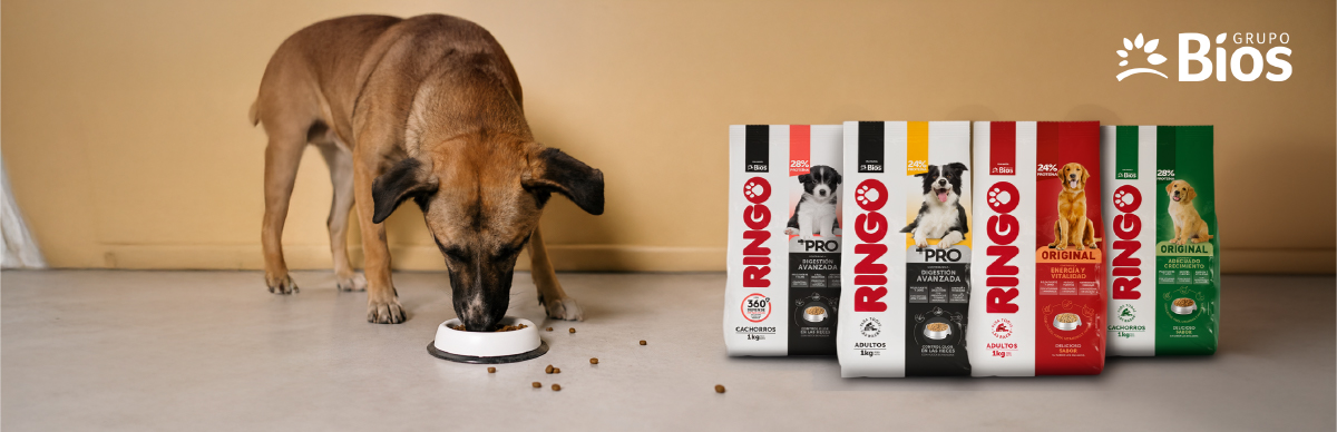 Ringo alimento para perros
