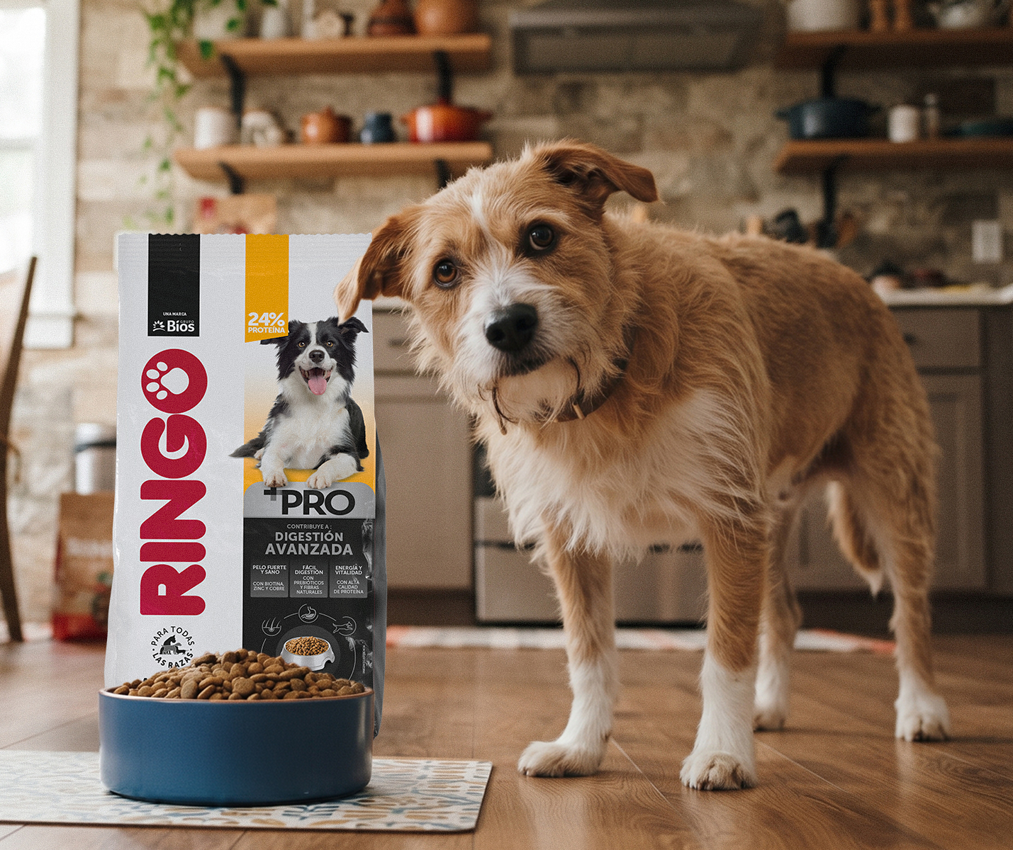 Cómo Ringo +PRO ayuda a una digestión avanzada 