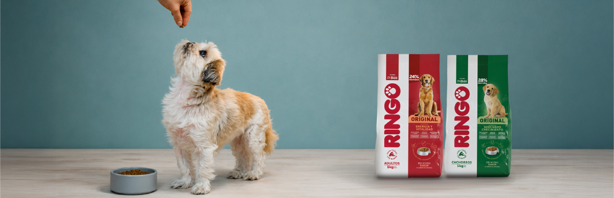 Ringo alimento completo y balanceado