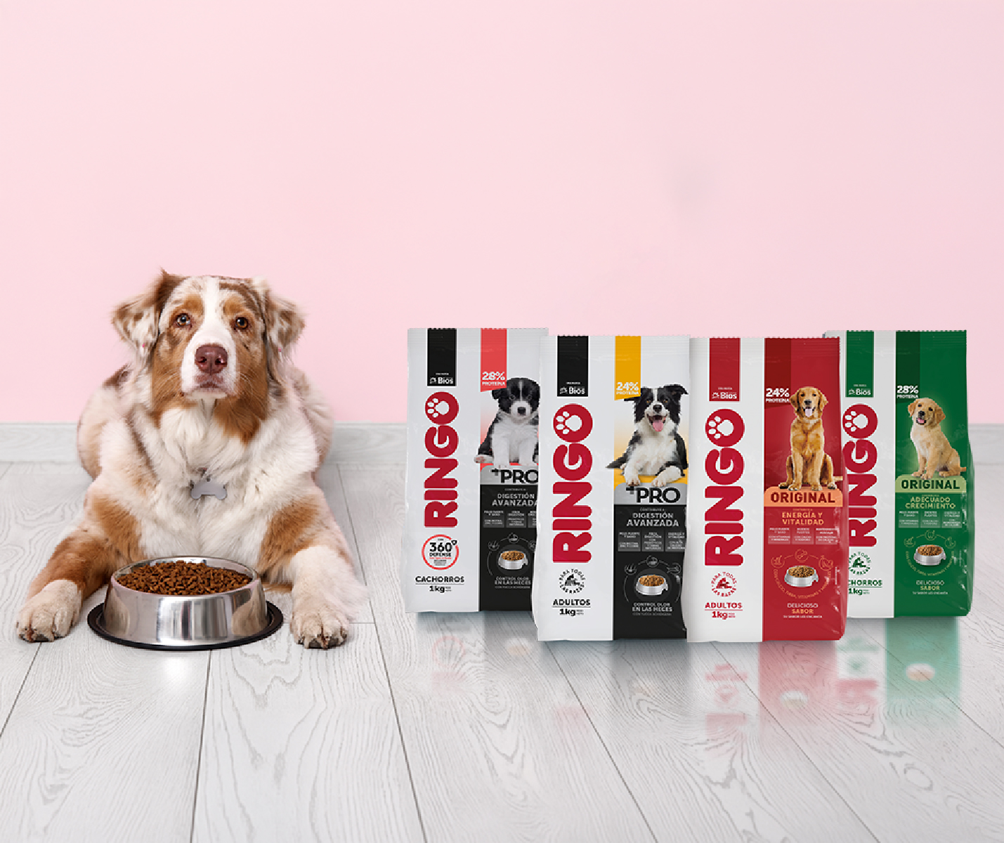 ¿Ringo es bueno? Cómo evaluar si encaja