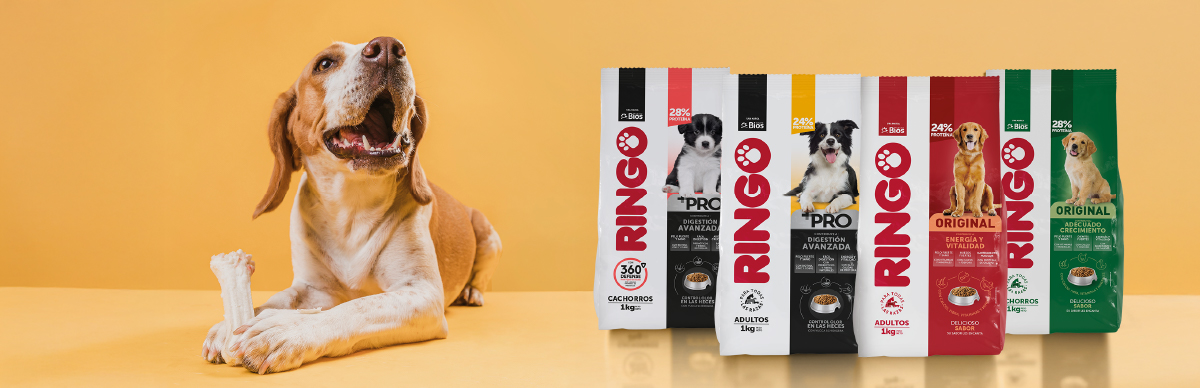 alimento para perros Ringo